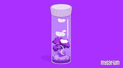 画像ギャラリー No.001のサムネイル画像 / 自分だけのテラリウムを作っていく「Mysarium: Cozy Lo-fi Terrarium」，Steamで配信開始。オーバーレイモードも用意
