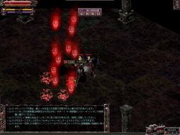 ꡼ No.005 | ֥ǥץإ륬ǥ򥯥ꥢȼ뽽ͤ2Ĥ