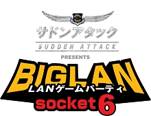 ������#001�Υ���ͥ���/�ڥ�꡼���֥ۡ��ɥ󥢥��å��ס�BIGLAN Socket6����������/���˳���