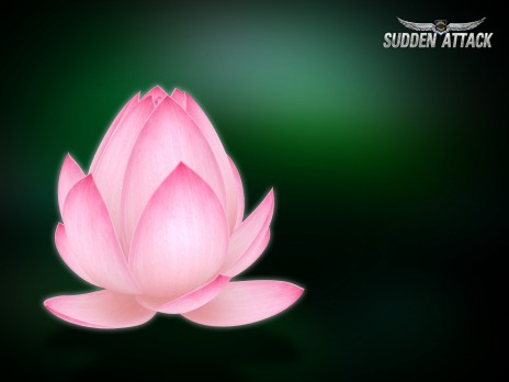 ������#009�Υ���ͥ���/�֥��ɥ󥢥��å��ס����⡼�ɡ֥��֥����˥ߥå����ס���MAP�֥��ѡ��ȡפ��������ǥ����󥳥�ƥ���2013��ͥ�����ʤ�����⥹������