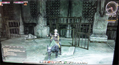 ꡼ No.007 | G-Star 2010ϤʤƤȤơNEDפץ쥤֥ŸӾäưʪĴȥեƥɤᥤǤ