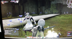 ꡼ No.019 | G-Star 2010ϤʤƤȤơNEDפץ쥤֥ŸӾäưʪĴȥեƥɤᥤǤ