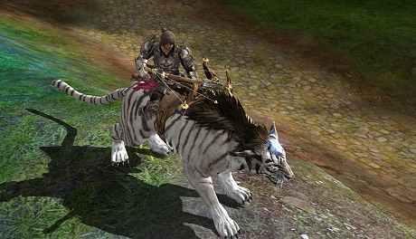 ���������꡼ No.013�Υ���ͥ������ / �����������Ʈ���Ǥ������줿�ܳʥե��󥿥���MMORPG��NED�פȤϤɤ�ʥ�����ʤΤ���