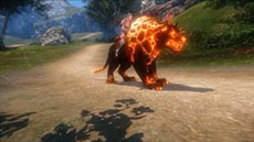 ꡼ No.009 | ICARUS ONLINEסե˻ѤǤȡեڥåȲ륷ƥब