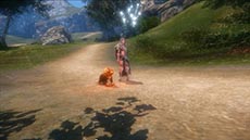 ꡼ No.010 | ICARUS ONLINEסե˻ѤǤȡեڥåȲ륷ƥब