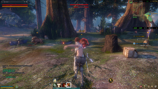 画像ギャラリー No.014のサムネイル画像 / 特徴的なフェローシステムなど,豊富かつ洗練されたコンテンツがプレイ意欲を刺激する──新作MMORPG「ICARUS ONLINE」βテストプレイレポート