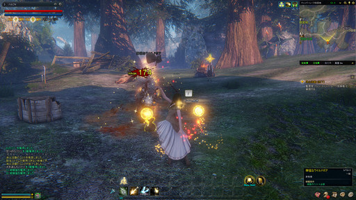 画像ギャラリー No.016のサムネイル画像 / 特徴的なフェローシステムなど,豊富かつ洗練されたコンテンツがプレイ意欲を刺激する──新作MMORPG「ICARUS ONLINE」βテストプレイレポート