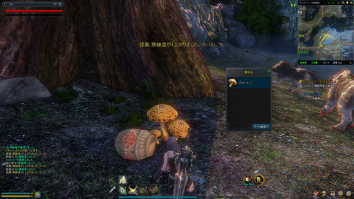 画像ギャラリー No.028のサムネイル画像 / 特徴的なフェローシステムなど,豊富かつ洗練されたコンテンツがプレイ意欲を刺激する──新作MMORPG「ICARUS ONLINE」βテストプレイレポート