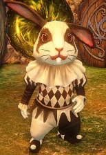 ���������꡼ No.016�Υ���ͥ������ / ��ICARUS ONLINE�ץ��åץǡ��ȡֿ����ʤ�����פ��������������������������ֻ�����ĤȽ�����Τ���פ�»�