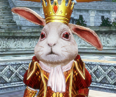 ꡼ No.017Υͥ / ICARUS ONLINEץեġ֥եҾפ1ǯǰɥХդŬ