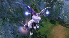 ꡼ No.008Υͥ / ICARUS ONLINEץ٥륭åפ55ޤǳ緿åץǡȡ֥פꥢؤ쥯Ȥ