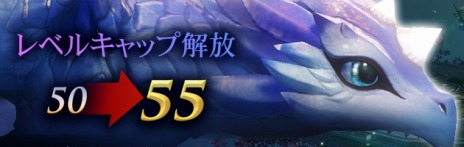 ꡼ No.017Υͥ / ICARUS ONLINEץ٥륭åפ55ޤǳ緿åץǡȡ֥פꥢؤ쥯Ȥ