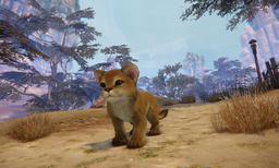 ꡼ No.009Υͥ / ICARUS ONLINEס緿åץǡȤǿȥ顼𸶡ɤʤɤɲ