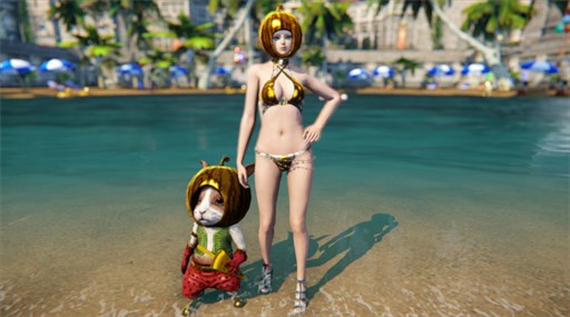 画像ギャラリー No.007のサムネイル画像 / 「ICARUS ONLINE」,サマーイベント開催。「アルザス製作/継承製作」実装