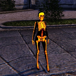 ꡼ No.004Υͥ / ICARUS ONLINEסϥʥǡHALLOWEEN NIGHT 2017ɤ