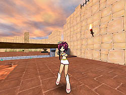 ���������꡼ No.019�Υ���ͥ������ / �������̾�Τ伡�����åץǡ��Ⱦ����ȯɽ����ͥ�ȡ������硼�⤢�ä�4������ĺ������PaperMan Championship 2010 in �٥륵���뽩�ո��׳���