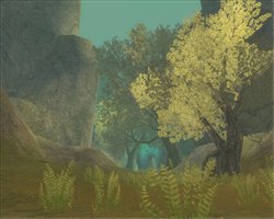 ������#002�Υ���ͥ���/�֥����������ɡ�6��24�����ü�ޥåס֥����ƥ��å��ե���ƥ����פ��������