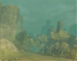 ������#003�Υ���ͥ���/�֥����������ɡ�6��24�����ü�ޥåס֥����ƥ��å��ե���ƥ����פ��������