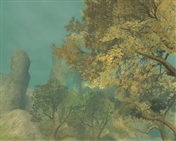 ������#005�Υ���ͥ���/�֥����������ɡ�6��24�����ü�ޥåס֥����ƥ��å��ե���ƥ����פ��������