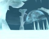 ������#007�Υ���ͥ���/�֥����������ɡ�6��24�����ü�ޥåס֥����ƥ��å��ե���ƥ����פ��������