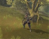 ������#010�Υ���ͥ���/�֥����������ɡ�6��24�����ü�ޥåס֥����ƥ��å��ե���ƥ����פ��������