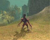 ������#011�Υ���ͥ���/�֥����������ɡ�6��24�����ü�ޥåס֥����ƥ��å��ե���ƥ����פ��������