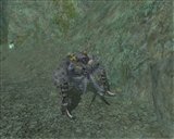 ������#012�Υ���ͥ���/�֥����������ɡ�6��24�����ü�ޥåס֥����ƥ��å��ե���ƥ����פ��������