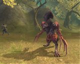 ������#013�Υ���ͥ���/�֥����������ɡ�6��24�����ü�ޥåס֥����ƥ��å��ե���ƥ����פ��������