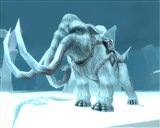 ������#019�Υ���ͥ���/�֥����������ɡ�6��24�����ü�ޥåס֥����ƥ��å��ե���ƥ����פ��������