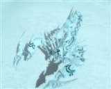 ������#023�Υ���ͥ���/�֥����������ɡ�6��24�����ü�ޥåס֥����ƥ��å��ե���ƥ����פ��������