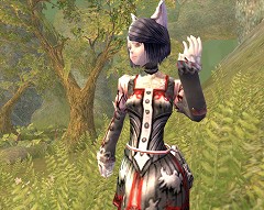 ������#002�Υ���ͥ���/MMORPG��ARCHLORD�ס��ü�ޥåס֥����ƥ��å��ե���ƥ����פ�����������EPISODE6��CHAOTIC FRONTIER�פذܹ�