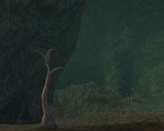 ���������꡼ No.012�Υ���ͥ������ / �֥����������ɡס������ƥ��å��ե���ƥ������ɲåޥåפ�22�����о�