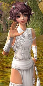 画像ギャラリー No.039のサムネイル画像 / 男? 女? なんと両方! 新種族“ドラゴンシオン”の実装で大きく変わる,「ARCHLORD PART2」の見どころを紹介