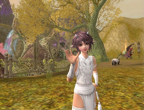 ���������꡼ No.007�Υ���ͥ������ / �֥����������ɡ�12��22������ͽ��ο���²�ɥ饴�󥷥����Ҳ�