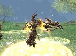 ���������꡼ No.008�Υ���ͥ������ / �֥����������ɡ�12��22������ͽ��ο���²�ɥ饴�󥷥����Ҳ�