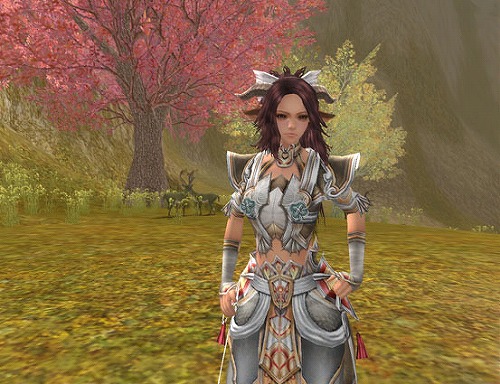 ���������꡼ No.013�Υ���ͥ������ / �֥����������ɡ�12��22������ͽ��ο���²�ɥ饴�󥷥����Ҳ�