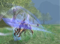 ���������꡼ No.014�Υ���ͥ������ / �֥����������ɡ�12��22������ͽ��ο���²�ɥ饴�󥷥����Ҳ�