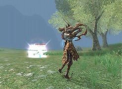 ���������꡼ No.015�Υ���ͥ������ / �֥����������ɡ�12��22������ͽ��ο���²�ɥ饴�󥷥����Ҳ�