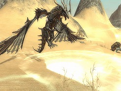 ���������꡼ No.018�Υ���ͥ������ / �֥����������ɡ�12��22������ͽ��ο���²�ɥ饴�󥷥����Ҳ�