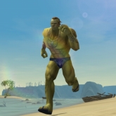 ���������꡼ No.003�Υ���ͥ������ / ��ARCHLORD�׿������С��о�ͽ�ꡣ��٥��夲��ȡȱ��ɤ�