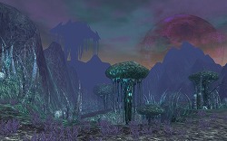 ꡼ No.004 | PRۤϹŷ!?MMORPGARCHLORDס󥸥֥إ󥺥إ׼С֤Ǥ˽