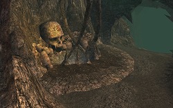 ꡼ No.005 | PRۤϹŷ!?MMORPGARCHLORDס󥸥֥إ󥺥إ׼С֤Ǥ˽