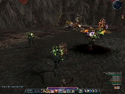 ꡼ No.020 | PRۤϹŷ!?MMORPGARCHLORDס󥸥֥إ󥺥إ׼С֤Ǥ˽