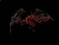 ꡼ No.004Υͥ / ʥޥåסȥݥ륿եΡɤĩ⤦CABAL ONLINEסåץǡȡNext Revolution PORTA INFERNOɤ»