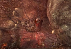 ꡼ No.005 | ֥㥤 Relic of Mystra緿åץǡȡ֥ߥȥΰ仺פ3Ƥ»ܡ󥸥֥󥻥ס֥󥫥ץȡפʤɤо