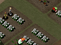 画像集#005のサムネイル/「55 Shock!」で,オンラインRPG「ワーネバ・オンライン」のOBTが明日より開始