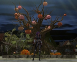 ꡼ No.001Υͥ / ֥ǥ̴μ򽸤ƥ꡼֥ϥνʡפ򶯲褦