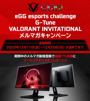 ���������꡼ No.001�Υ���ͥ������ / G-Tune����VALORANT�ץ���饤������ǰ�����ץ쥼��ȥ����ڡ���򳫺�