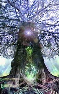 ������#001�Υ���ͥ���/�����ʥ�ȡ������桼�������÷����ȡ��꡼����������ʡ��ˤ�ȯɽ