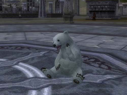 画像ギャラリー No.002のサムネイル画像 / 「ラストカオス」冬の寒さにも負けないペット「白クマ」が12月に登場